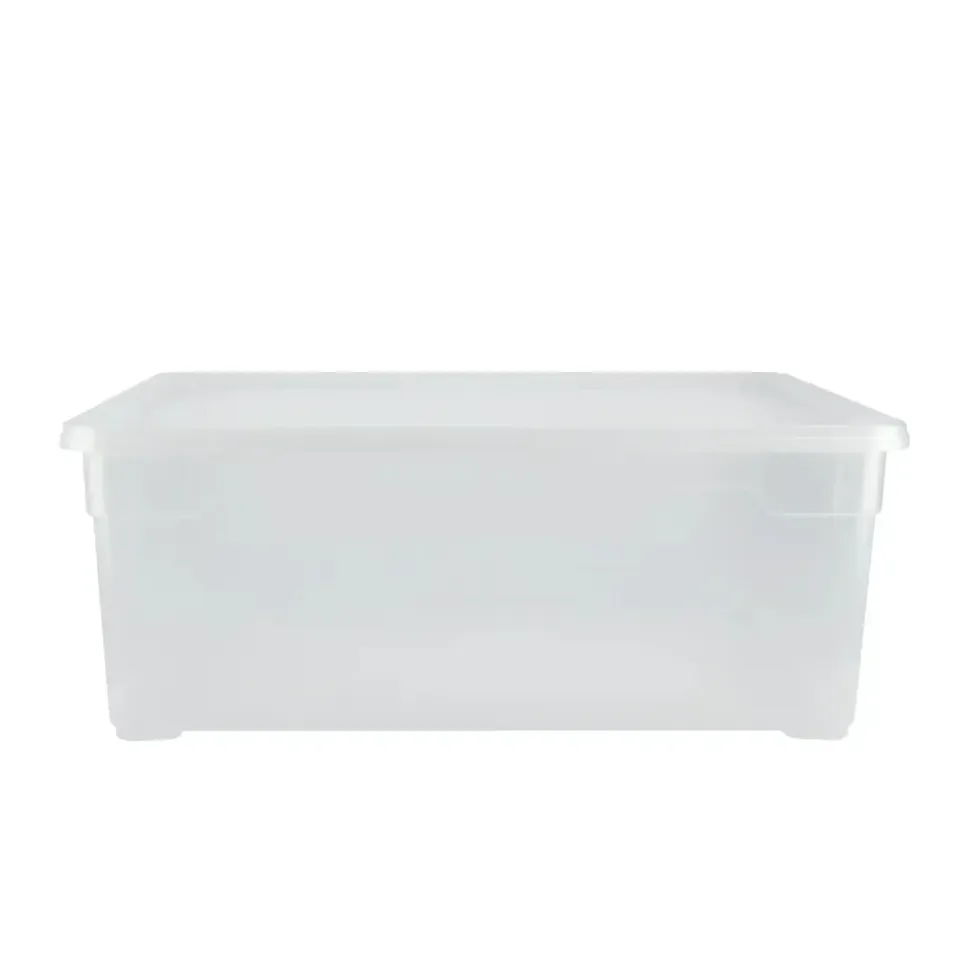 wolk direkt Aufbewahrungsbox Clearbox Men Shoe 26 x 36 x 14 cm 6-tlg. transparent