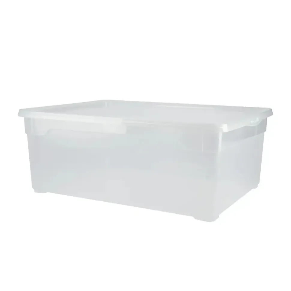 wolk direkt Aufbewahrungsbox Clearbox Men Shoe 26 x 36 x 14 cm 6-tlg. transparent
