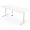 Yaasa Schreibtisch Desk Pro 140 x 80 cm Weiß/Weiß
