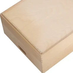 Zeller Aufbewahrungskiste 60 x 40 x 21 cm 1-tlg. beige